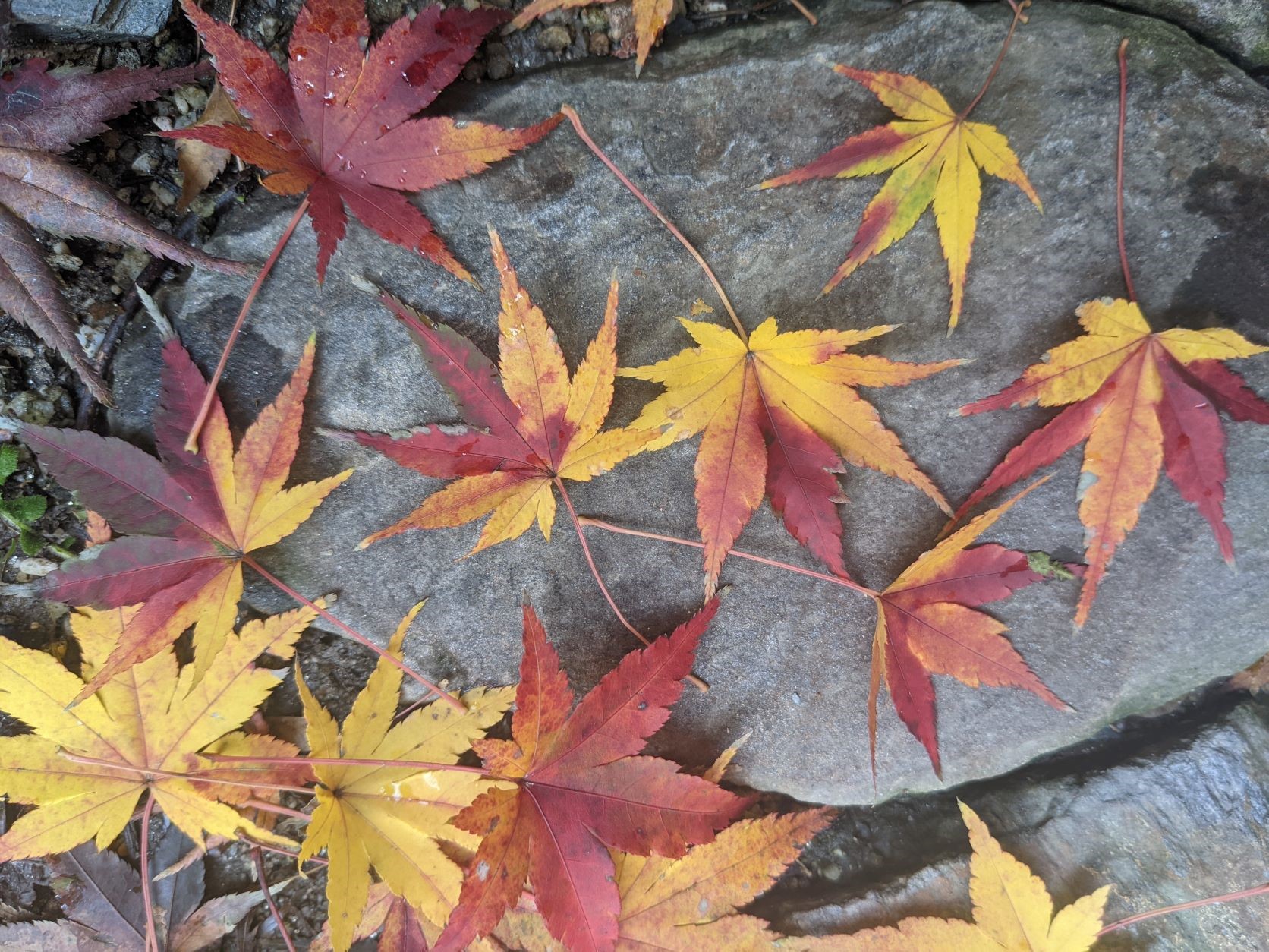 年末年始休業のお知らせ