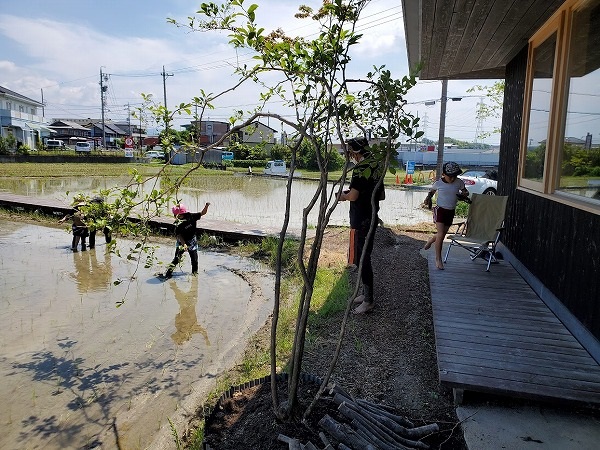 田んぼカフェ