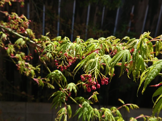 平成31年４月1日